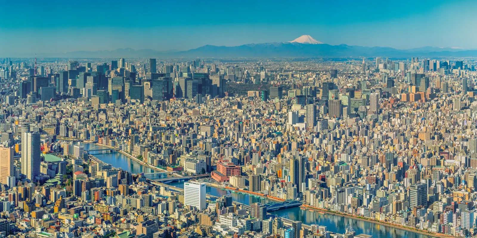 Panoramic view of Tokyo cityscape with Mount Fuji in the distance.
